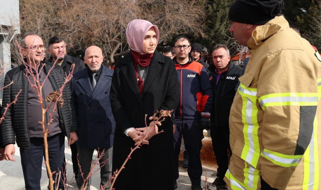 - Vali Yiğitbaşı:
- "Yangının çıkış sebebiyle ilgili netleşen bir şey