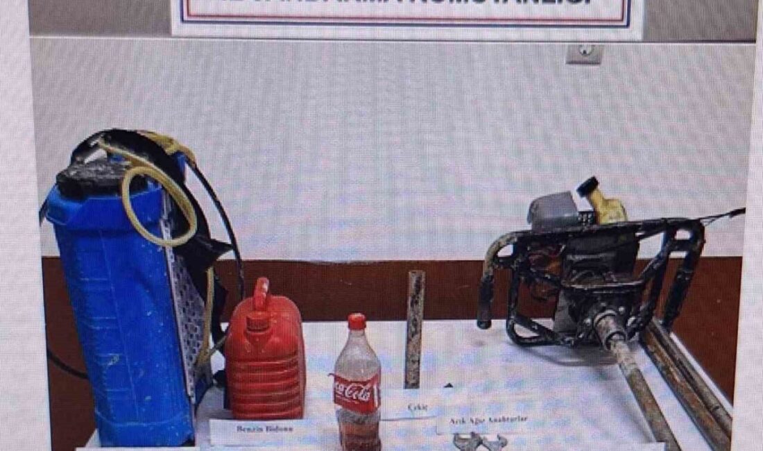 Afyonkarahisar’da kaçak kazı yapan bir şahıs jandarma tarafından suçüstü yapıldı.