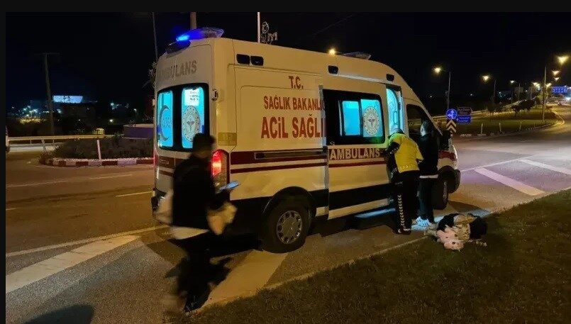 Bilecik’te seyir halindeki bir aracın önüne aniden köpek çıkarken, hayvana