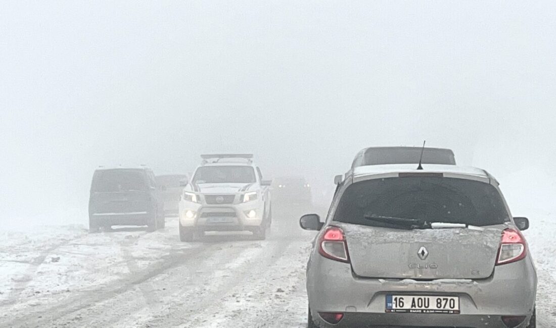KÜTAHYA (AA) – Kütahya'nın Domaniç ilçesinde aralıklarla devam eden yağış
