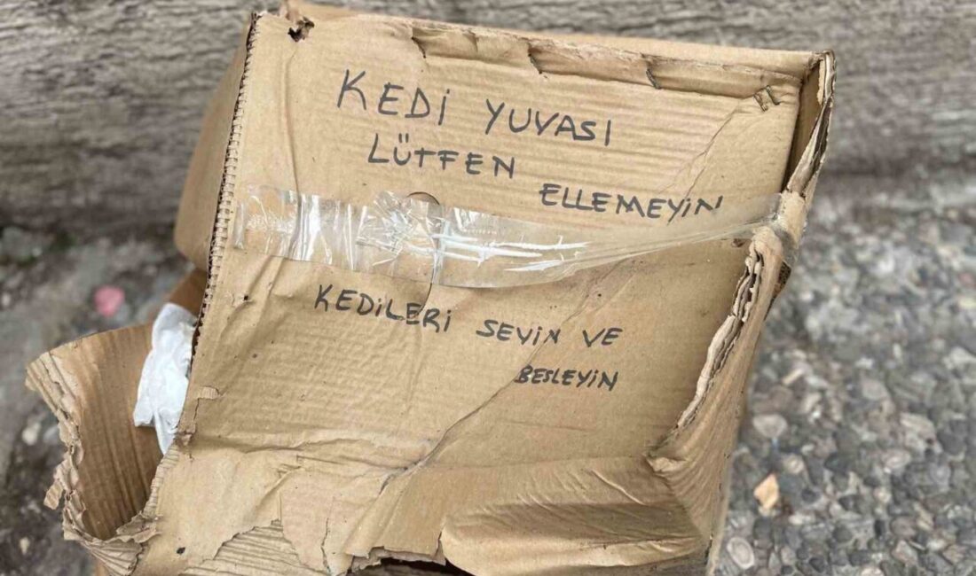 Eskişehir’de duyarsız vatandaşlar, üzerinde ‘lütfen ellemeyin’ yazan kedi yuvasının tahrip