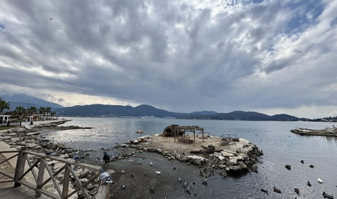 - Muğla Sıtkı Koçman Üniversitesi Su Kaynakları Ana Bilim Dalı