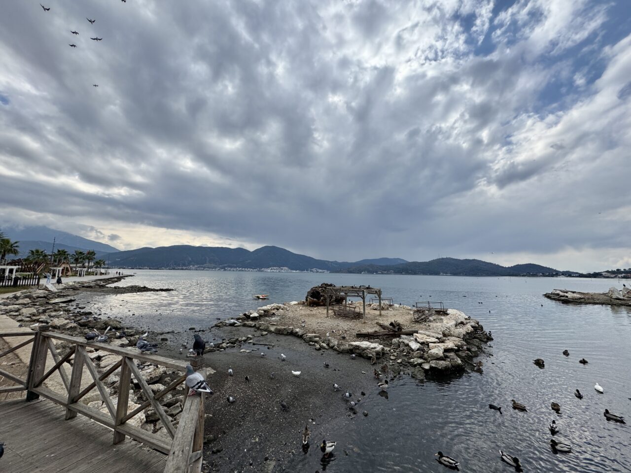 - Muğla Sıtkı Koçman Üniversitesi Su Kaynakları Ana Bilim Dalı