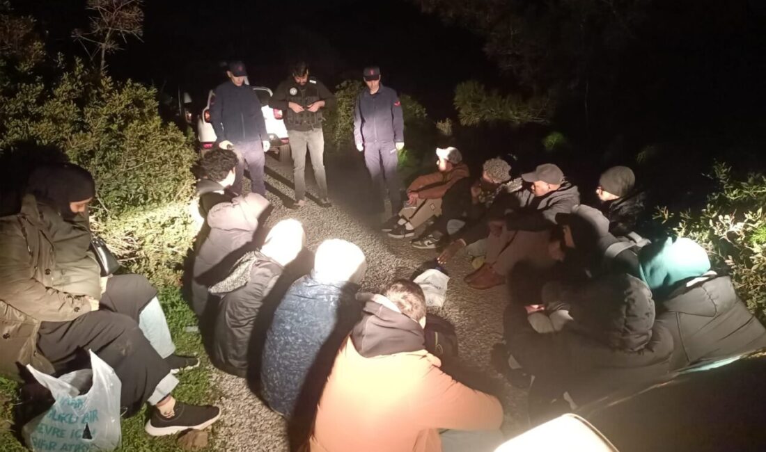 MUĞLA (AA) – Muğla'nın Bodrum ilçesinde 17 düzensiz göçmen yakalandı.