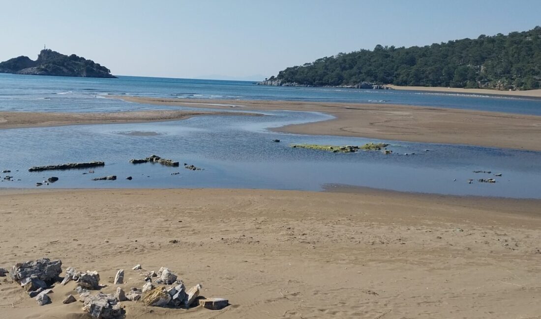 MUĞLA (AA) – Muğla'nın Ortaca ilçesinde deniz kaplumbağalarının yuvalama alanı