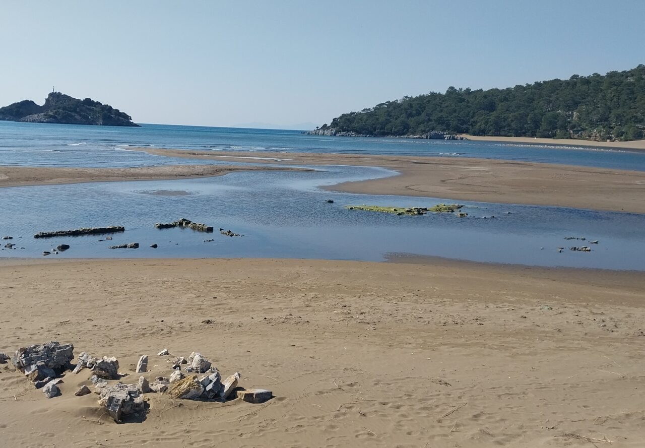 MUĞLA (AA) – Muğla'nın Ortaca ilçesinde deniz kaplumbağalarının yuvalama alanı