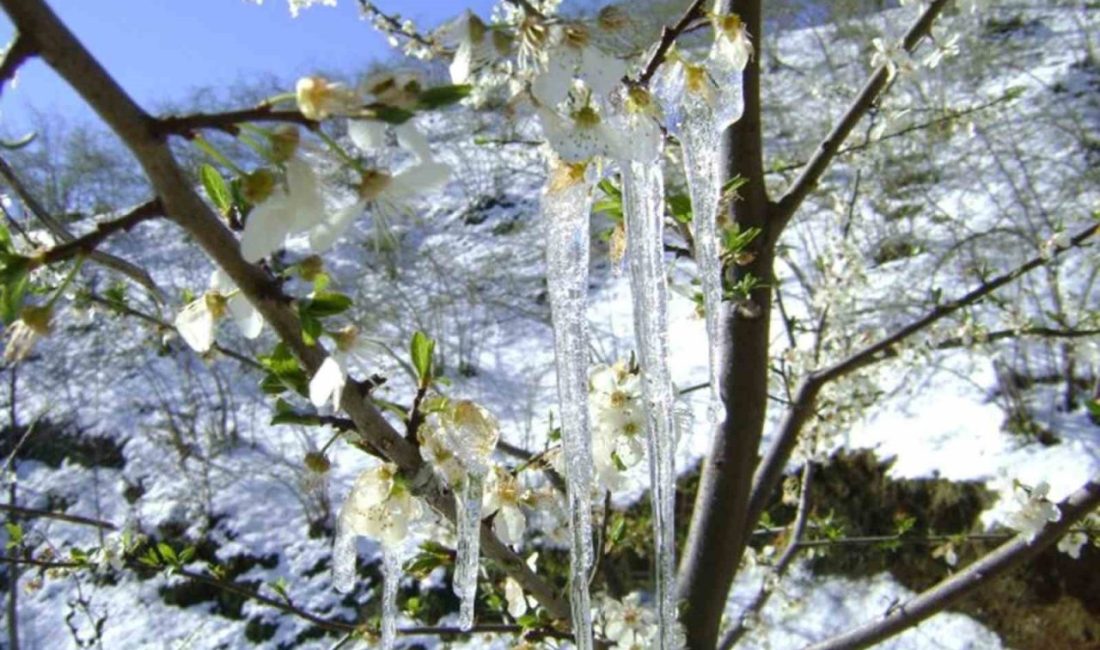 Meteoroloji 4. Bölge Müdürlüğü Bölge Tahmin ve Uyarı Merkezinden yapılan