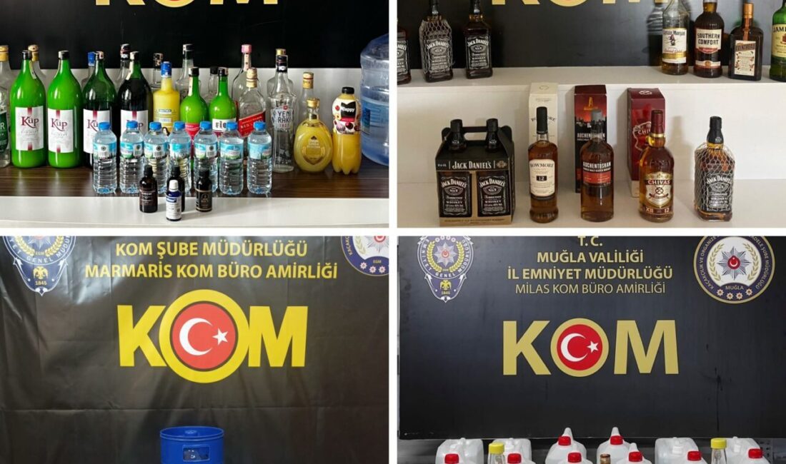 MUĞLA (AA) – Muğla'nın Menteşe, Marmaris, Fethiye ve Milas ilçelerinde