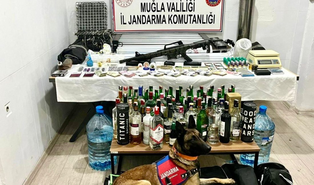 MUĞLA (AA) – Muğla'nın Marmaris ilçesinde jandarma ekiplerinin düzenlediği uyuşturucu
