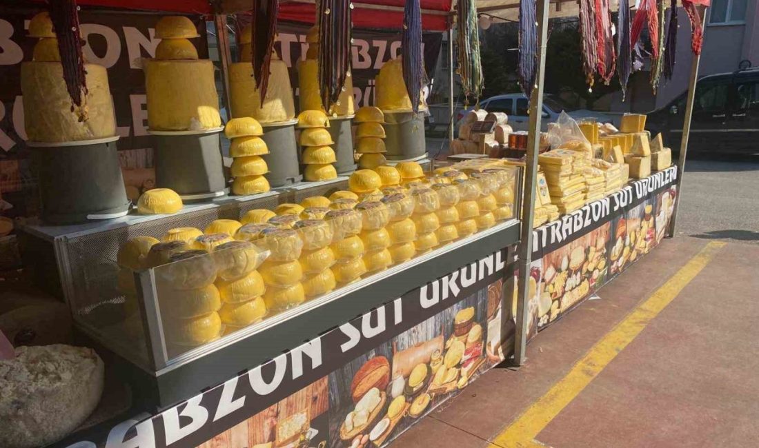 DENİZLİ (İHA) – Denizli’nin Pamukkale ilçesinde son 2 günde kurulan