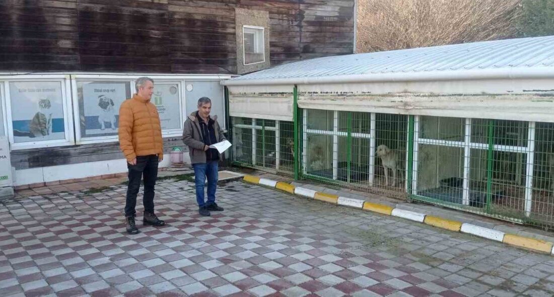 Eskişehir Doğa Koruma ve Milli Parklar Müdürlüğü (DKMP) ekiplerince hayvan