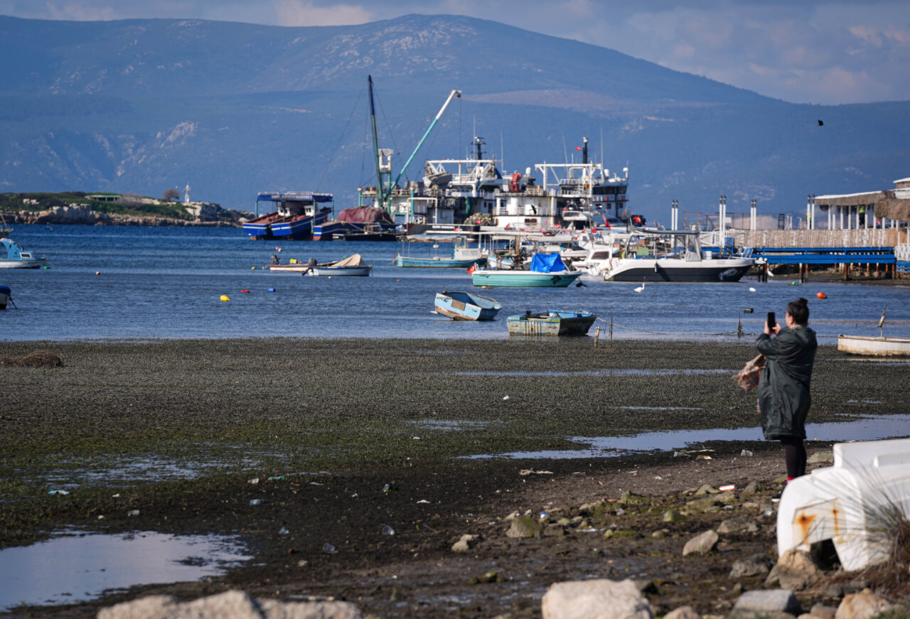 - TÜBA Çevre, Biyoçeşitlilik ve İklim Değişikliği Çalışma Grubu Üyesi