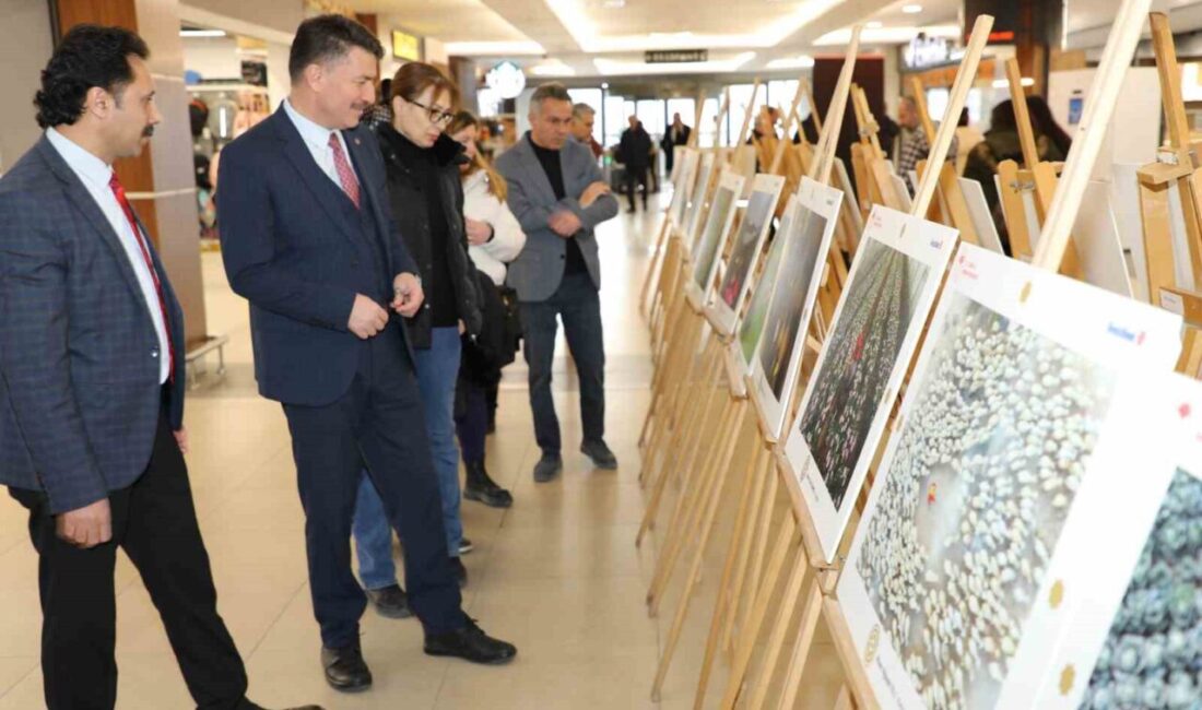 Tarım ve Orman Bakanlığı tarafından 2009 yılından beri düzenlenen ve