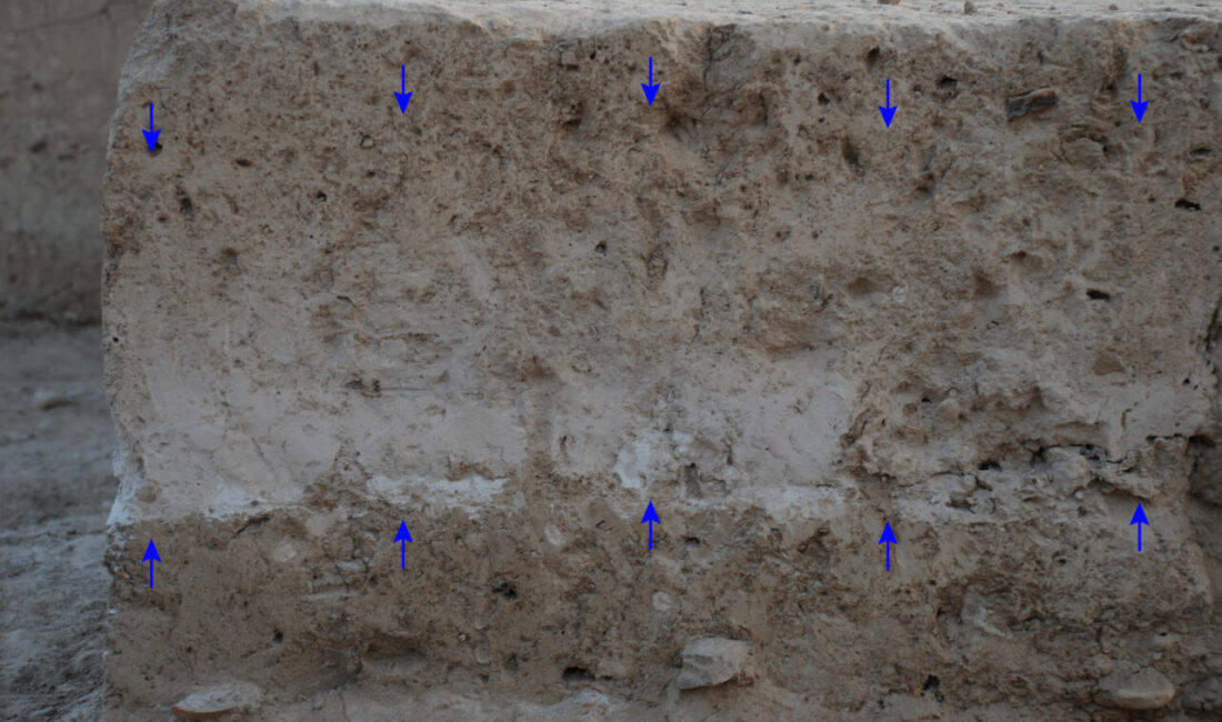 - Aydın'daki höyükte bulunan küllerin bölgeye milattan önce 1500'lü yıllarda