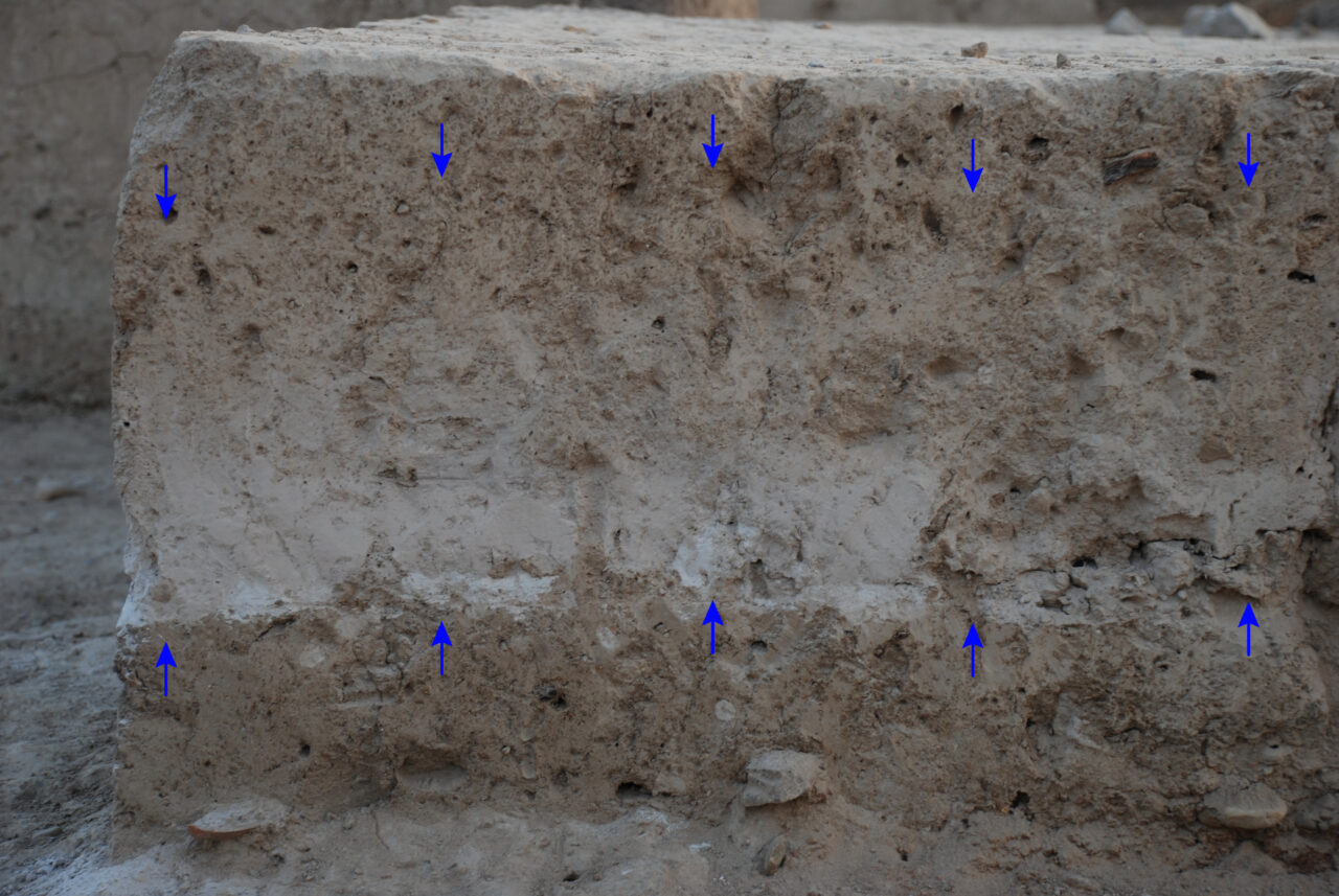 - Aydın'daki höyükte bulunan küllerin bölgeye milattan önce 1500'lü yıllarda