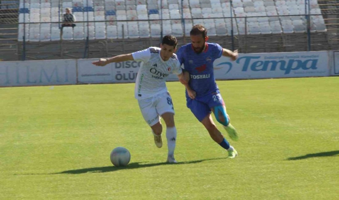 TFF 2. Lig Beyaz Grup 20. haftasında Fethiyespor, sahasında karşılaştığı