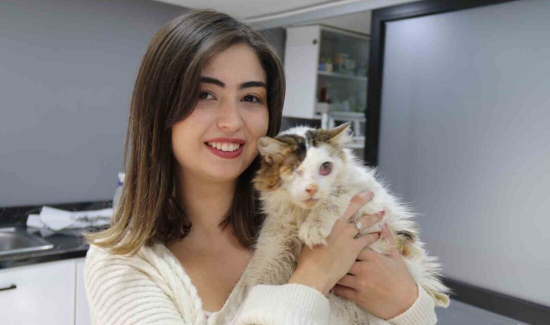 Eskişehir’de araç çarpması sonucu ağır yaralanarak bir gözünü kaybeden yaralı