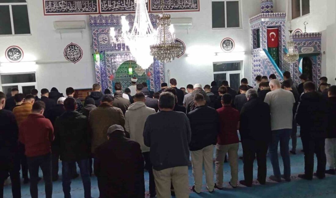 Beylikova Fen Lisesi ve İmam Hatip Lisesi öğrencileri, ÇEDES projesi