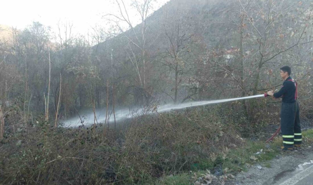 Bilecik’te bir arazide çıkan yangın itfaiye ekiplerince kısa sürede söndürüldü.