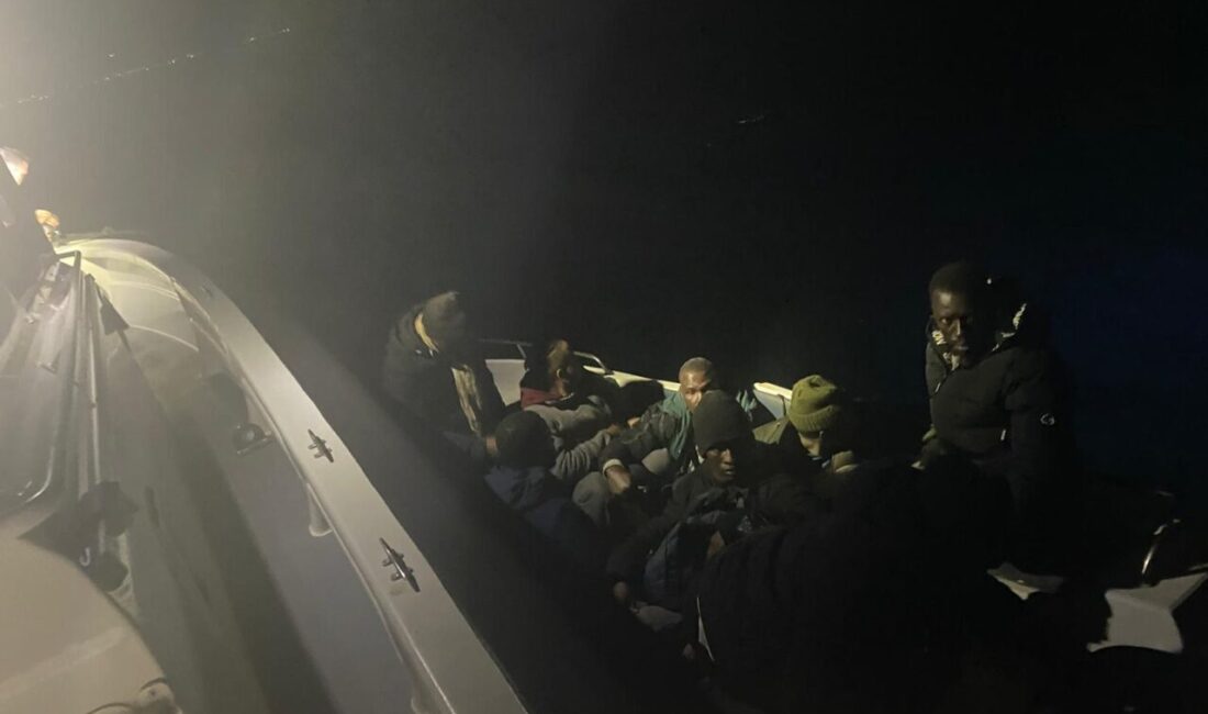 - Göçmen kaçakçısı olduğu iddiasıyla 1 şüpheli gözaltına alındı