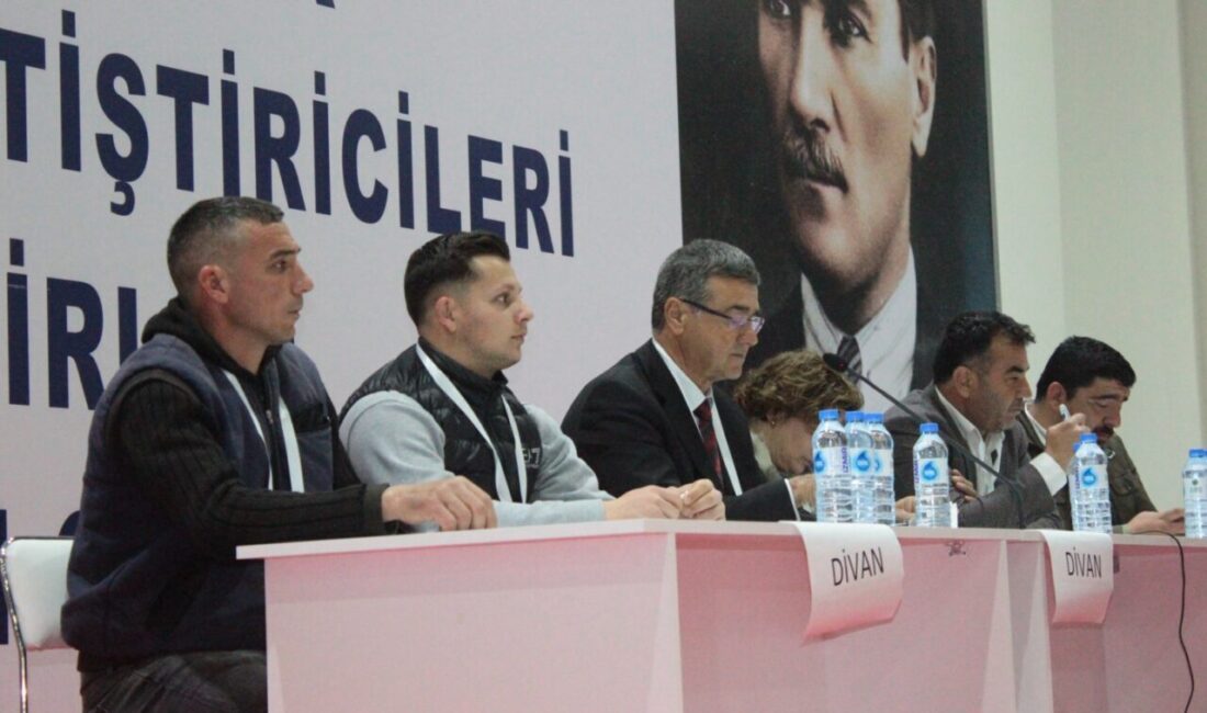 İZMİR (AA) – İzmir Damızlık Sığır Yetiştiricileri Birliğinde başkanlığına Arif