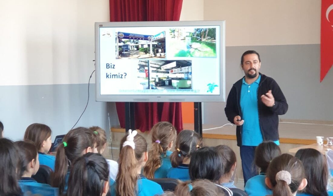 MUĞLA (AA) – Muğla'nın Datça ilçesinde ilkokul öğrencileri deniz kaplumbağaları