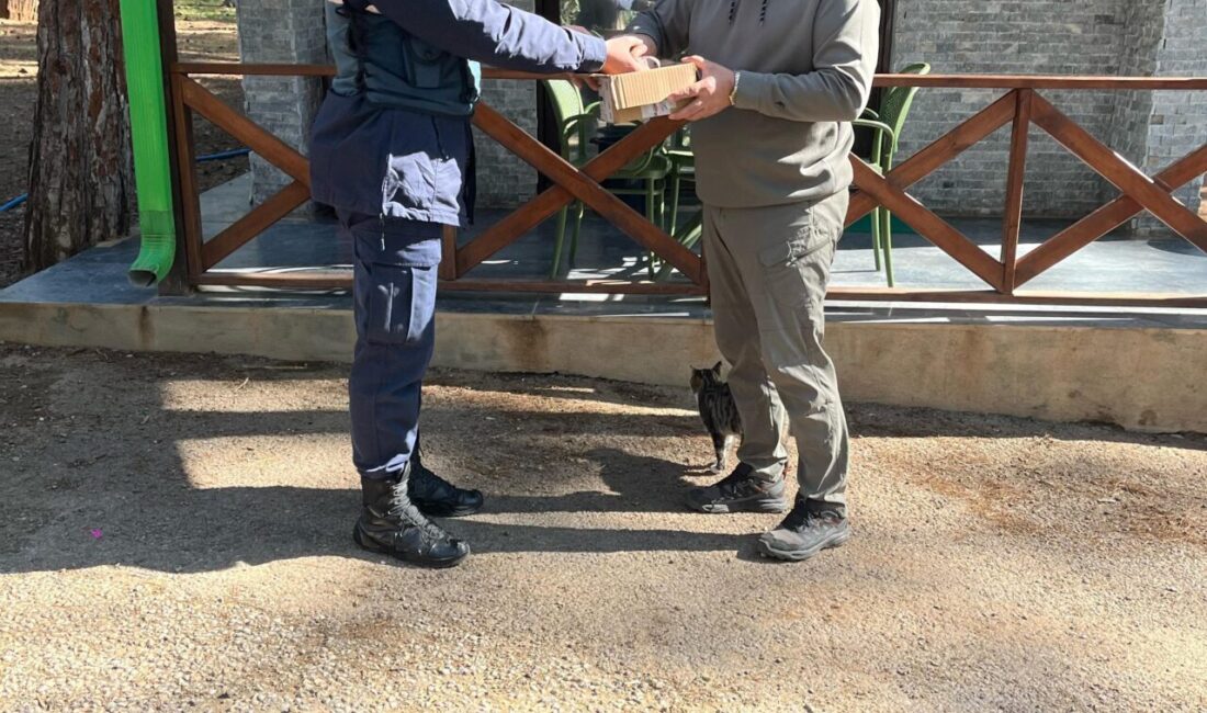 MUĞLA (AA) – Muğla'nın Datça'da ilçesinde jandarma ekiplerince yaralı bulunan