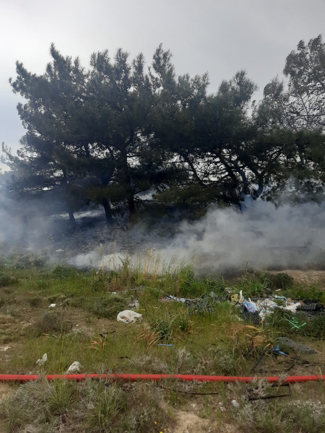 MUĞLA (AA) – Muğla'nın Datça ilçesinde tarım alanında çıkan yangın