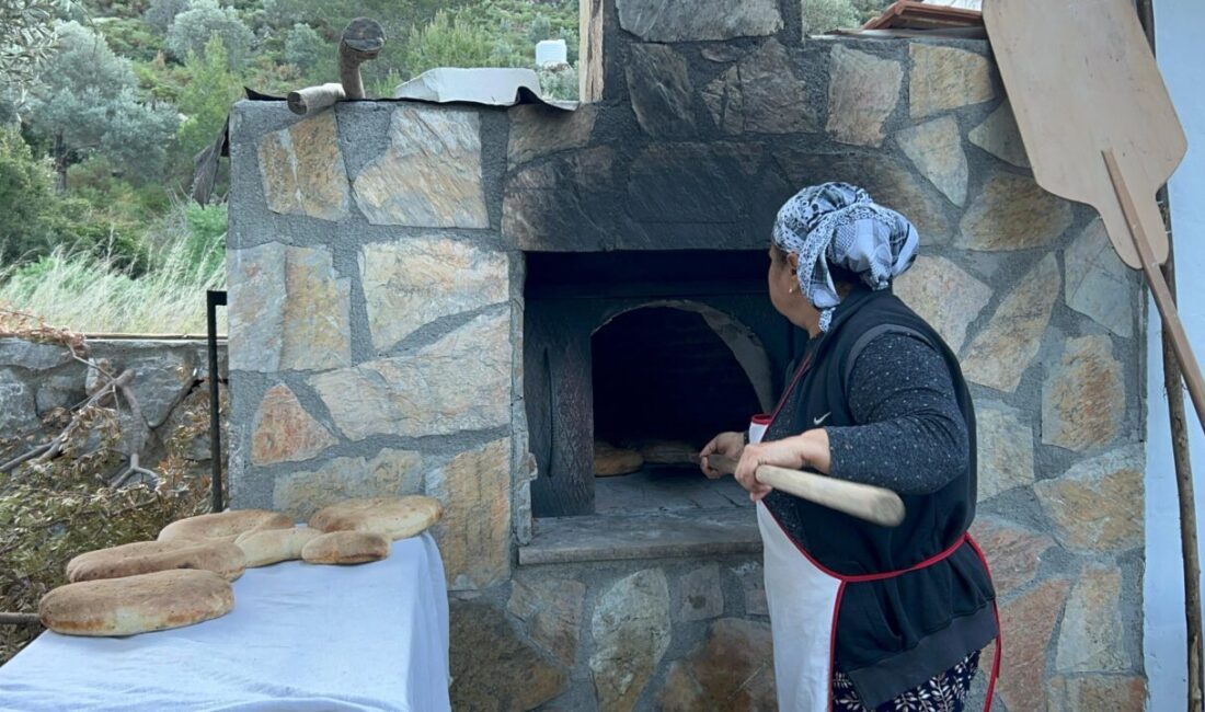 MUĞLA (AA) – Muğla'nın Datça ilçesindeki köylerinde, geleneksel yöntemlerle üretilen