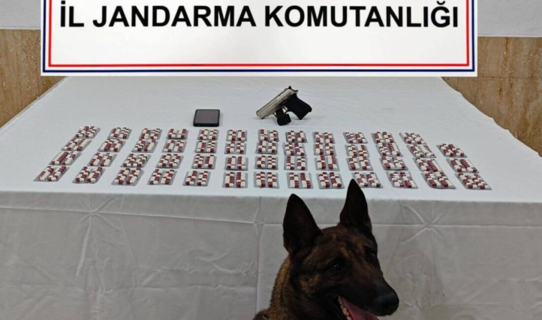 DENİZLİ (AA) – Denizli'nin Pamukkale ve Honaz ilçelerinde düzenlenen uyuşturucu