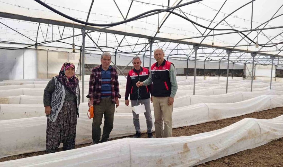 Eskişehir İl Tarım ve Orman Müdürlüğü teknik personelleri, domates yetiştiriciliğinin