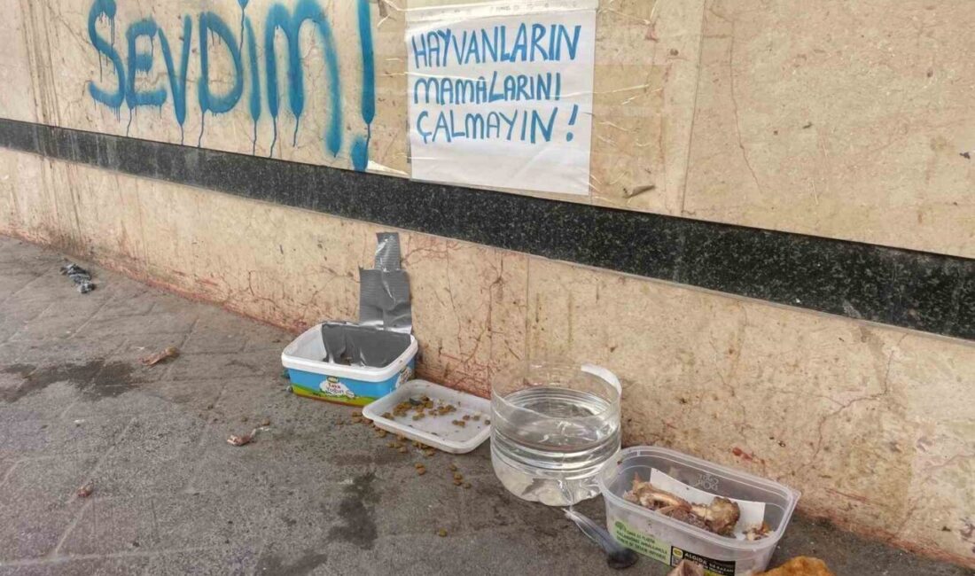 Eskişehir’de sokak hayvanları için bırakılan mama ve su kaplarının üzerine