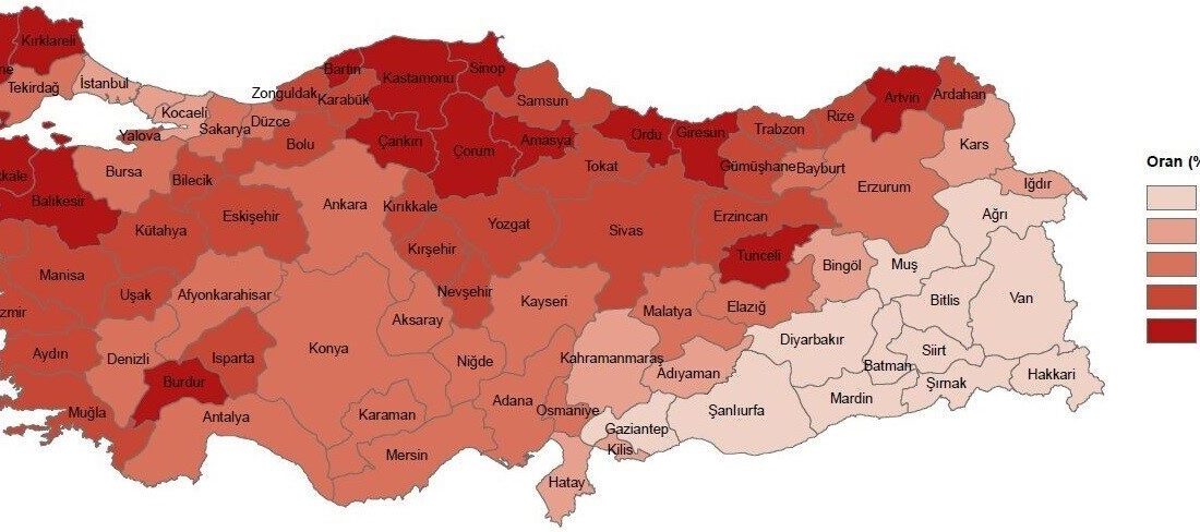 Türkiye İstatistik Kurumu (TÜİK), Eskişehir’de 2024 yılında yaşlı nüfusun toplam