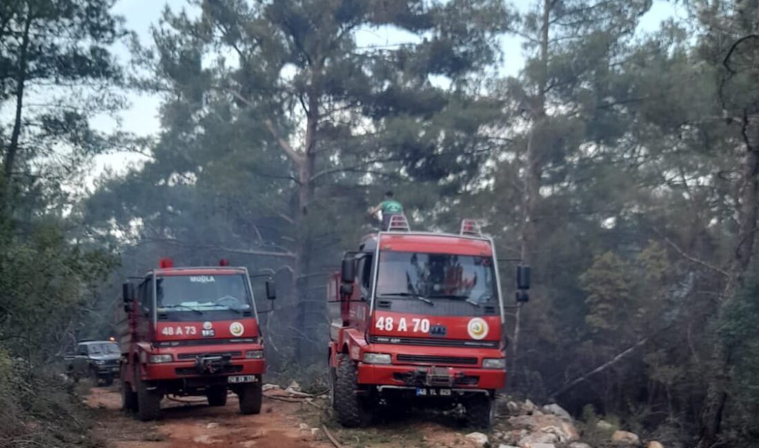 - Yangında 2 hektar ormanlık alan zarar gördü

YANGININ KONTROL ALTINA