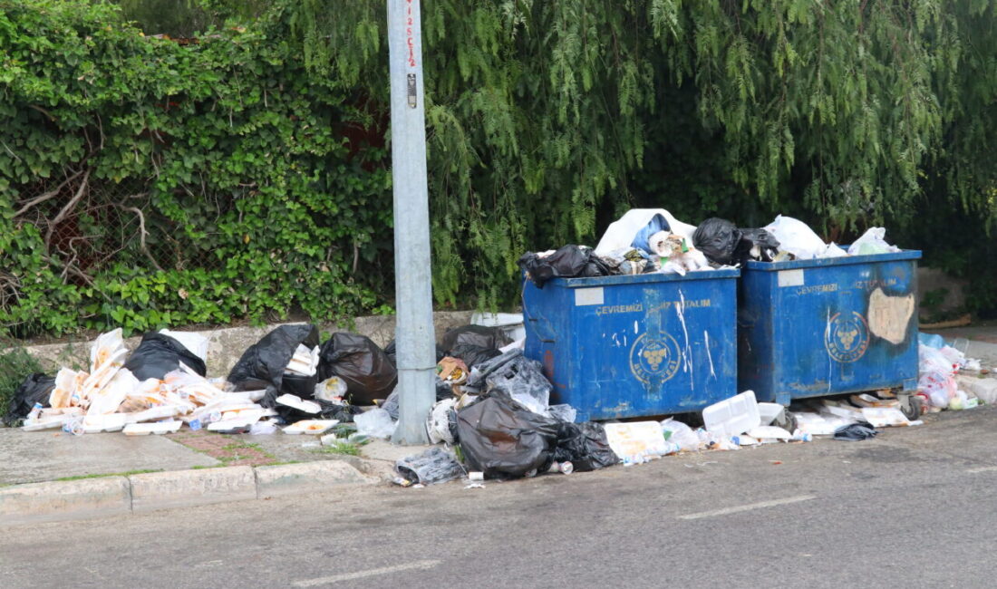 İZMİR (AA) – İzmir'in Buca ilçesinde biriken çöp yığınları ve