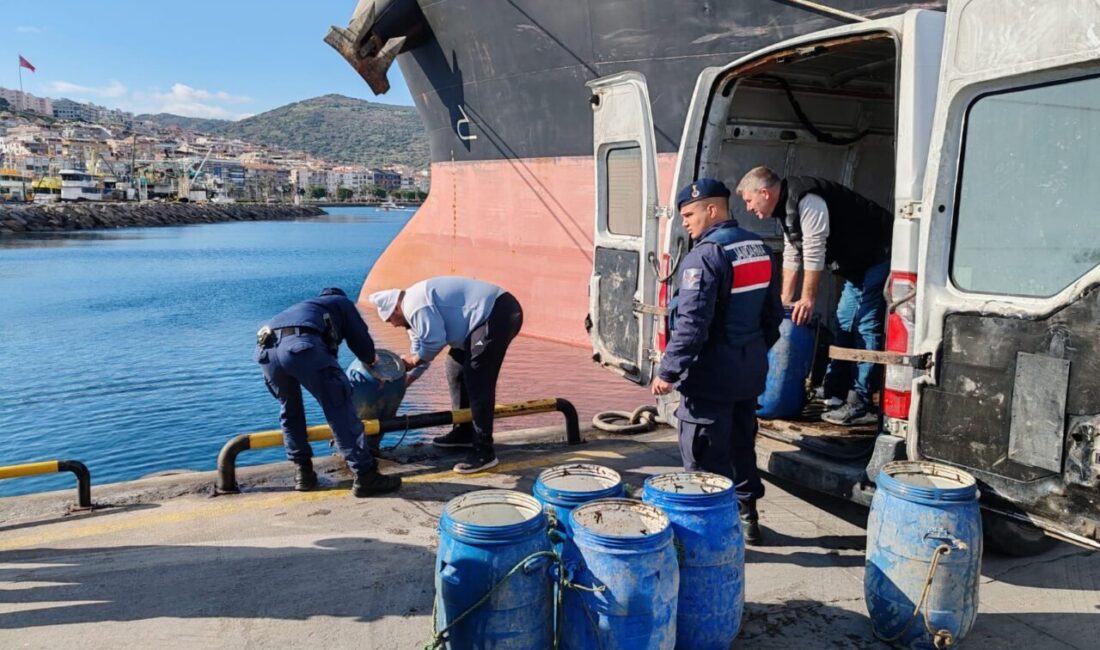 İZMİR (AA) – İzmir'in Dikili ilçesinde kaçak avlandığı tespit edilen