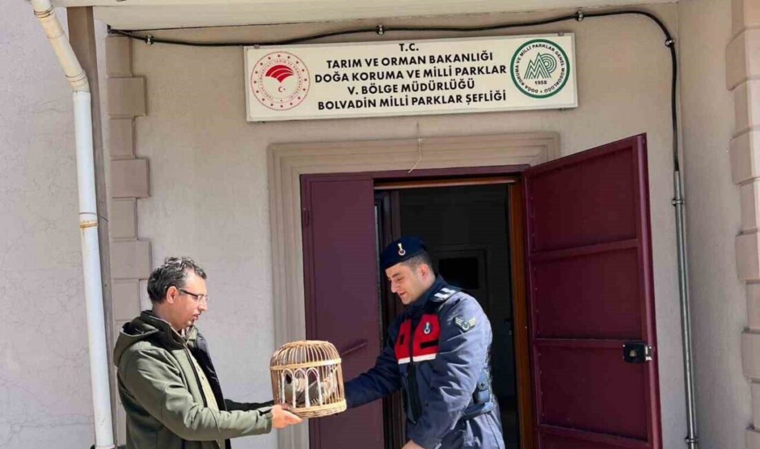 Afyonkarahisar Jandarma Komutanlığı ekipleri kolluk devriyesinde 4 adet ruhsatsız yivsiz