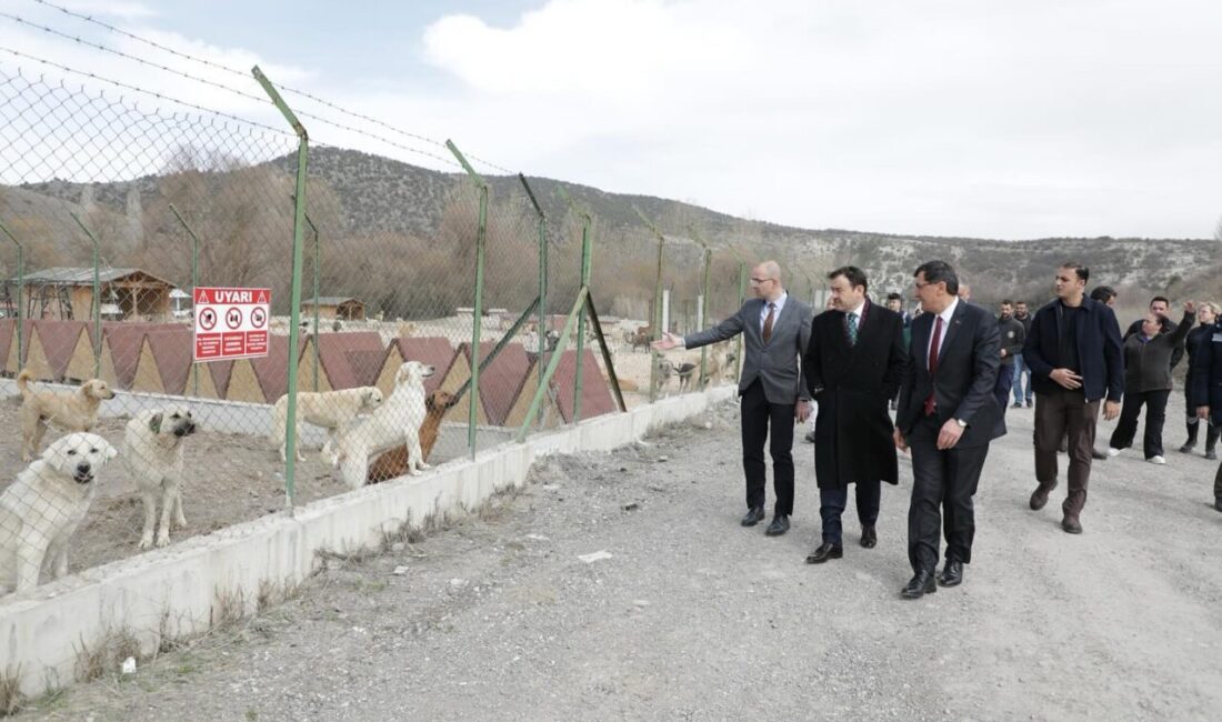 KÜTAHYA (AA) – Kütahya Valisi Musa Işın, sahipsiz hayvanların yaşam