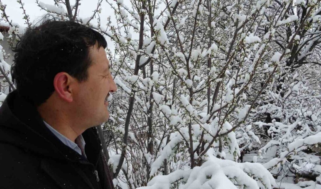 Kütahya’da aralıklarla yağan kar sonrası, meyve bahçeleri eşsiz bir güzelliğe