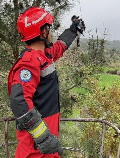 MUĞLA (AA) – Muğla'nın Seydikemer ilçesinde ayağına ip dolanan alakarga,