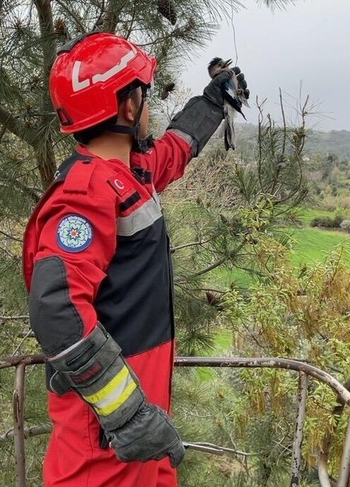 MUĞLA (AA) – Muğla'nın Seydikemer ilçesinde ayağına ip dolanan alakarga,