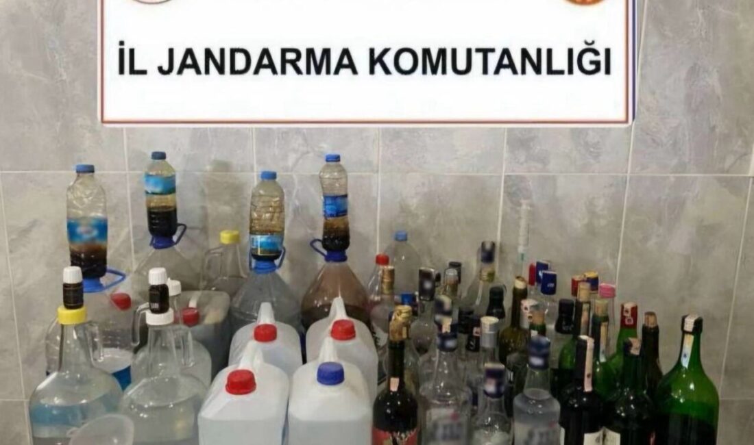 MUĞLA (AA) – Muğla'nın Yatağan ilçesinde düzenlenen kaçak içki operasyonunda