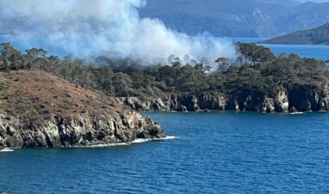 MUĞLA (AA) – Muğla'nın Fethiye ilçesinde ormanlık alanda çıkan yangın,