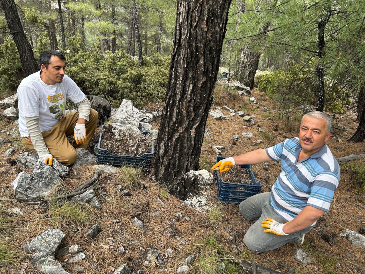 - Muğla Arı Yetiştiricileri Birliği tarafından bazı ilçelerde arıcılar tarafından