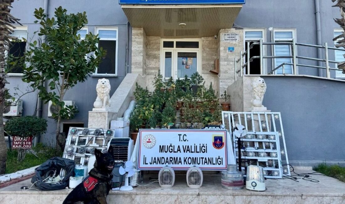 MUĞLA (AA) – Muğla'nın Seydikemer ilçesinde düzenlenen uyuşturucu operasyonunda 1