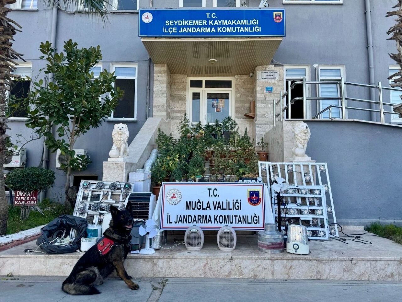 MUĞLA (AA) – Muğla'nın Seydikemer ilçesinde düzenlenen uyuşturucu operasyonunda 1