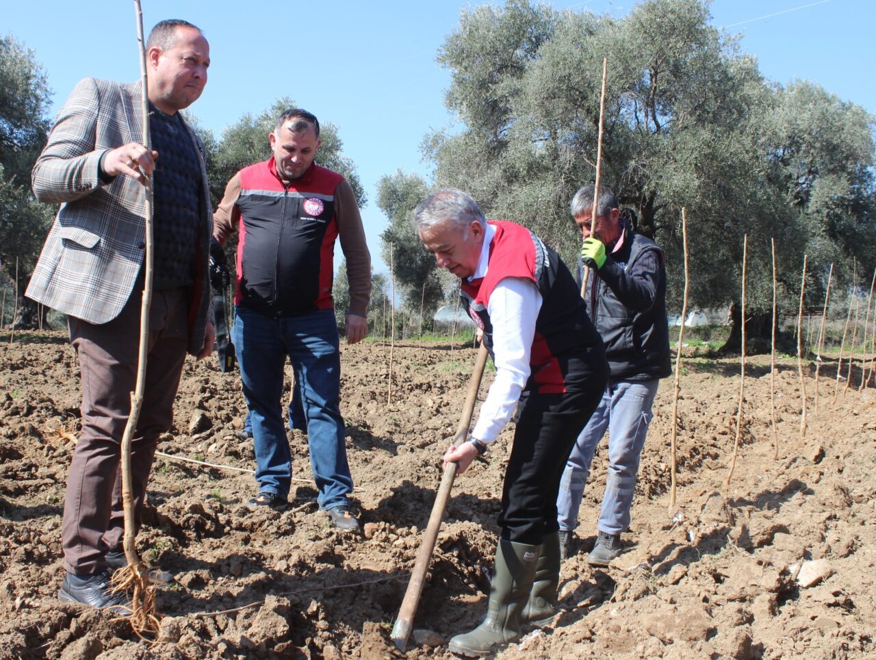 İZMİR (AA) – İzmir'in Ödemiş ilçesinde, ipek böceği yetiştiriciliğinde verimin