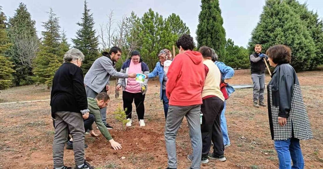 Odunpazarı Belediyesi Engelsiz Kültür ve Sanat Merkezi, 21-26 Mart Orman