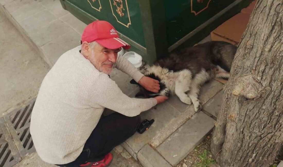 Eskişehir’de yaşayan Fikret Kayhan Alkan, çalıştığı taksi durağında sahiplendiği ’Fındık’