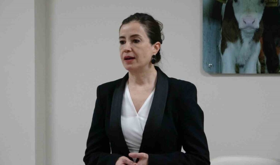 Tarım ve Kırsal Kalkınmayı Destekleme Kurumu (TKDK) Kütahya İl Koordinatörü
